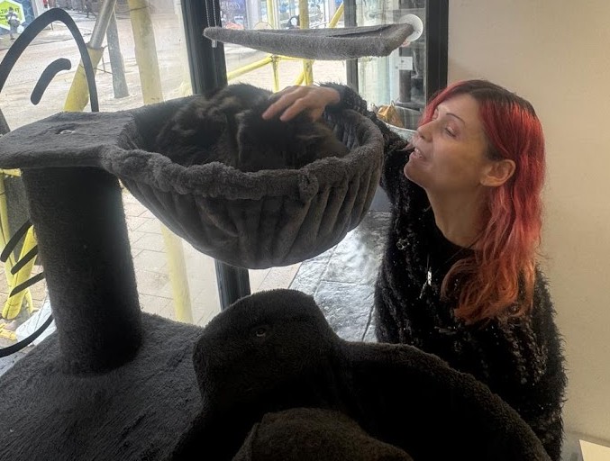 Rachel enjoying her visit to a cat cafe